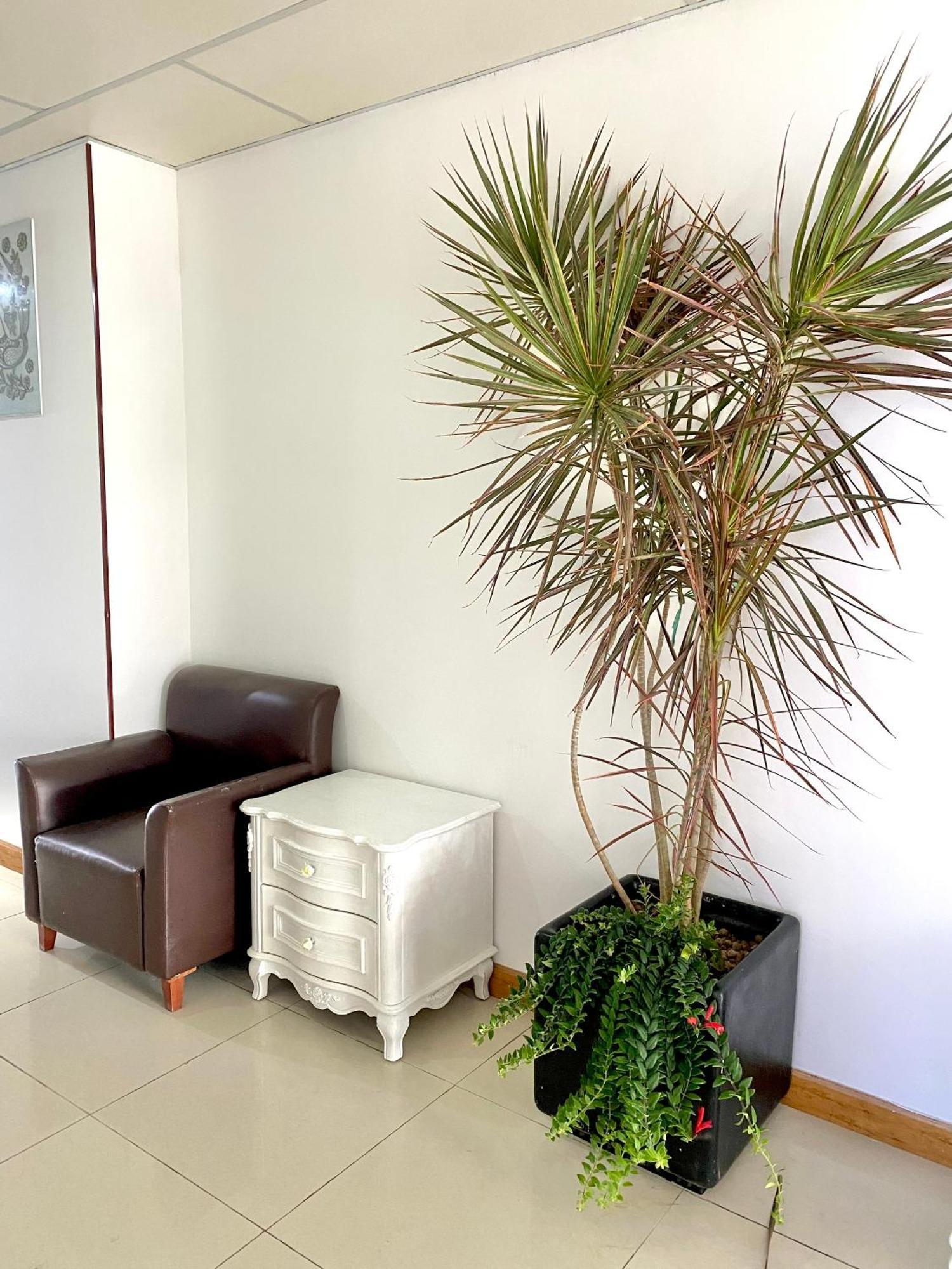 Zozo House - Homestay Bai Sau Vung Tau Buitenkant foto